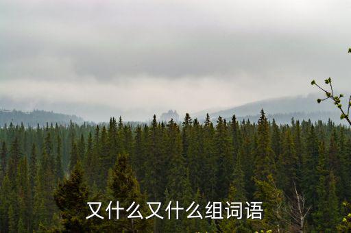 又什么又什么組詞語