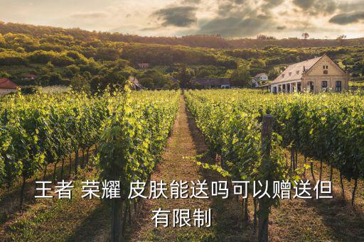  王者 榮耀 皮膚能送嗎可以贈(zèng)送但有限制