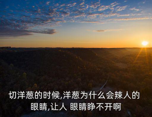 辣眼睛,怎么切辣椒洋蔥不會(huì)傷眼?