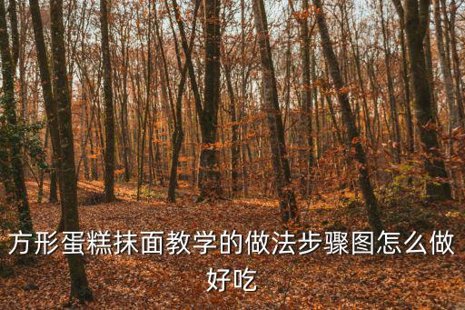 方形蛋糕抹面教學的做法步驟圖怎么做好吃