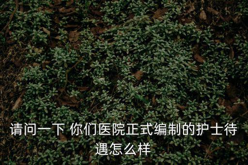 請問一下 你們醫院正式編制的護士待遇怎么樣
