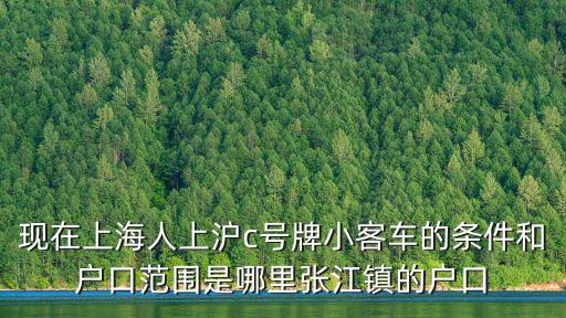 現在上海人上滬c號牌小客車的條件和戶口范圍是哪里張江鎮的戶口