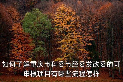 如何了解重慶市科委市經委發改委的可申報項目有哪些流程怎樣