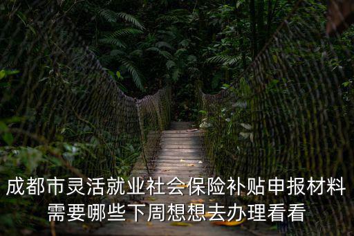 成都市靈活就業社會保險補貼申報材料需要哪些下周想想去辦理看看