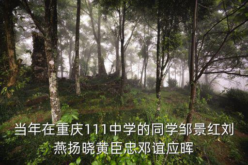 當年在重慶111中學的同學鄒景紅劉燕揚曉黃臣忠鄧誼應暉