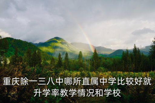 重慶市紅光中學升學率，重慶市紅光中學