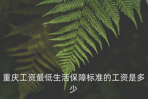 重慶工資最低生活保障標(biāo)準(zhǔn)的工資是多少