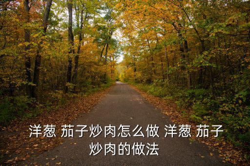 洋蔥 茄子炒肉怎么做 洋蔥 茄子炒肉的做法
