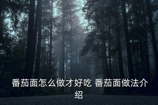 番茄面,意大利面和西紅柿雞蛋湯的做法