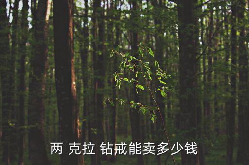 兩 克拉 鉆戒能賣多少錢