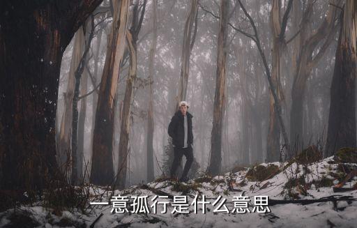  一意孤行是什么意思