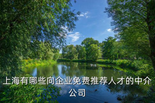 上海有哪些向企業(yè)免費(fèi)推薦人才的中介公司