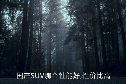 國產suv哪款好,硬核越野五款車優惠實惠性價比高