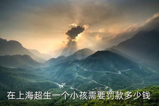 在上海超生一個小孩需要罰款多少錢