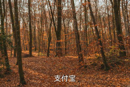 支付寶