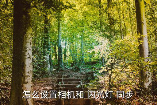 怎么設置相機和 閃光燈 同步