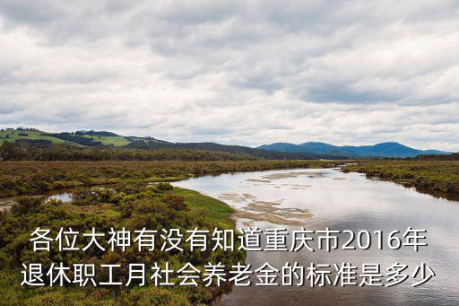 各位大神有沒有知道重慶市2016年退休職工月社會養老金的標準是多少