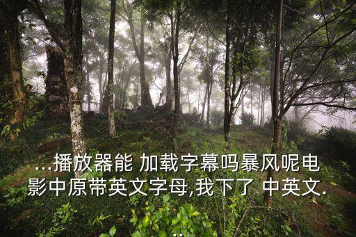 ...播放器能 加載字幕嗎暴風呢電影中原帶英文字母,我下了 中英文...