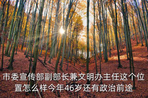 市委宣傳部副部長兼文明辦主任這個位置怎么樣今年46歲還有政治前途