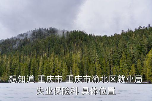 重慶市渝北區(qū)就業(yè)與人才服務(wù)局，渝北區(qū)人才市場地址