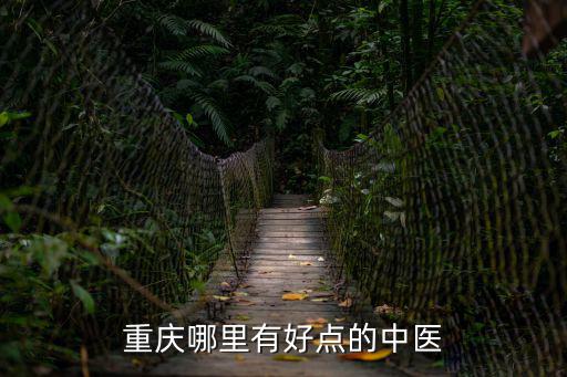 重慶哪里有好點的中醫
