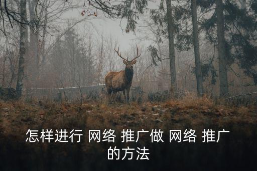 怎樣進(jìn)行 網(wǎng)絡(luò) 推廣做 網(wǎng)絡(luò) 推廣的方法