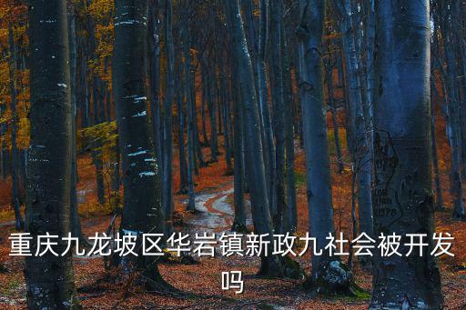重慶九龍坡區華巖鎮新政九社會被開發嗎