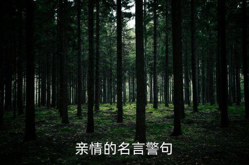 親情的名言警句