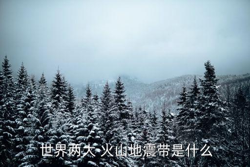  世界兩大 火山地震帶是什么