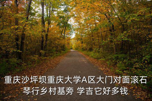 重慶沙坪壩重慶大學(xué)A區(qū)大門對面滾石琴行鄉(xiāng)村基旁 學(xué)吉它好多錢