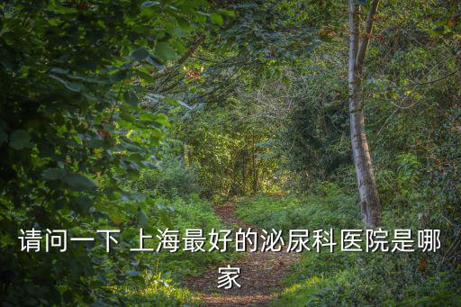 請問一下 上海最好的泌尿科醫院是哪家