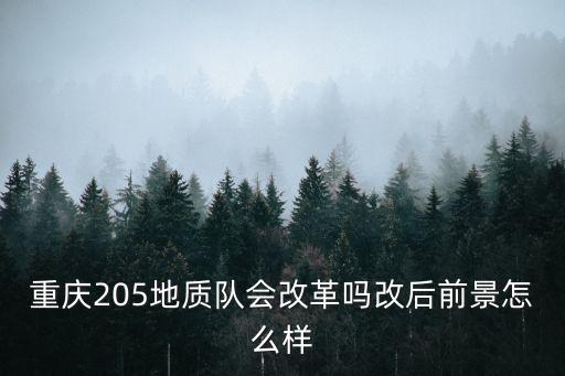 重慶205地質隊會改革嗎改后前景怎么樣