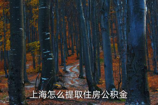 上海怎么提取住房公積金