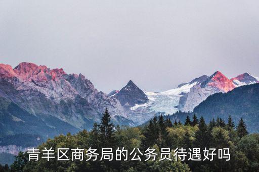 青羊區(qū)商務局的公務員待遇好嗎