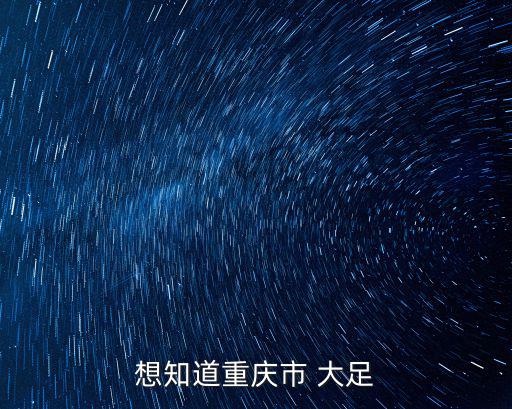 想知道重慶市 大足