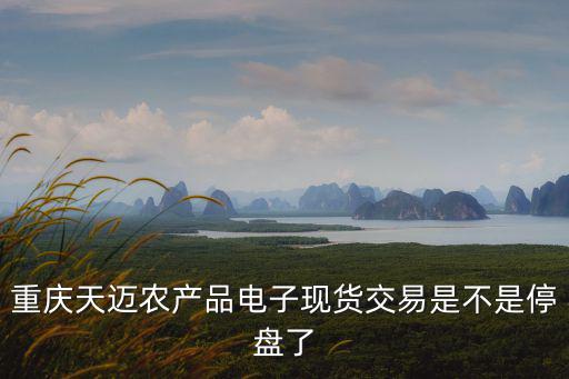 重慶天邁農(nóng)產(chǎn)品電子現(xiàn)貨交易是不是停盤了