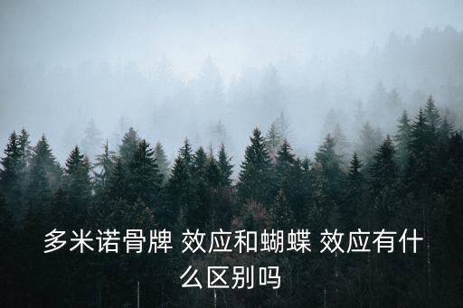  多米諾骨牌 效應和蝴蝶 效應有什么區別嗎