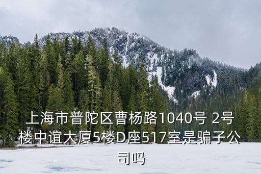 上海市普陀區曹楊路1040號 2號樓中誼大廈5樓D座517室是騙子公司嗎