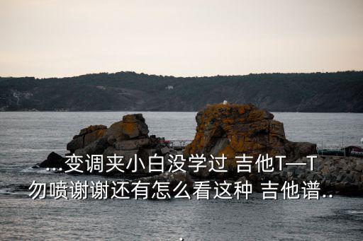 ...變調夾小白沒學過 吉他T—T勿噴謝謝還有怎么看這種 吉他譜...