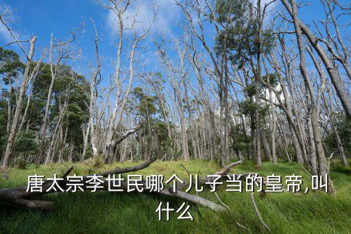  唐太宗李世民哪個兒子當的皇帝,叫什么