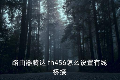 fh456,如何設置兩個網絡路由器?