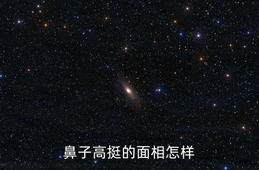 鼻子高挺的面相怎樣