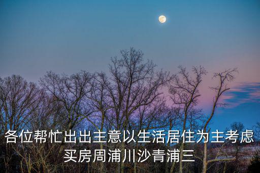 各位幫忙出出主意以生活居住為主考慮買房周浦川沙青浦三