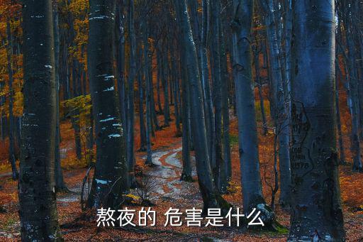 熬夜的 危害是什么
