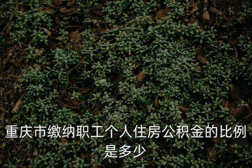 重慶市繳納職工個(gè)人住房公積金的比例是多少