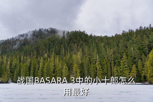 戰國BASARA 3中的小十郎怎么用最好