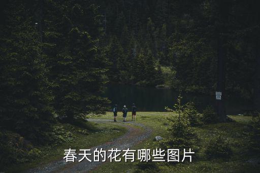 春天的花有哪些圖片