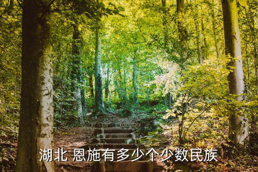 恩施土家族,湖北恩施土司城現(xiàn)人龍28個民族