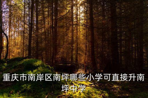 重慶市天臺崗小學對口中學，雅居樂天臺崗小學對口的中學是哪個中學