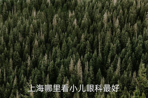 上海哪家醫院看兒童眼睛好，上海哪里看小兒眼科最好